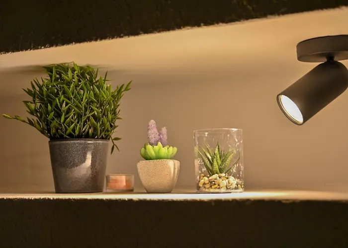 Lägenhet Nussbaumer Bukarest