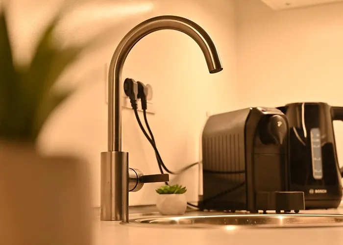 Nussbaumer * Bukarest