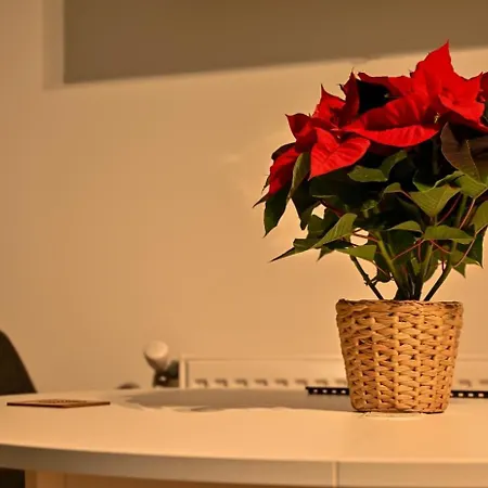 Nussbaumer Бухарест