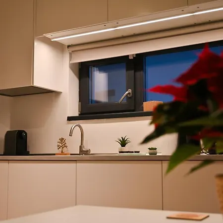 Nussbaumer Bukareszt