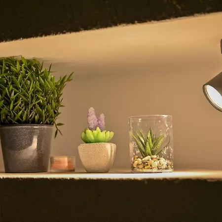 Apartment Nussbaumer Bukarest